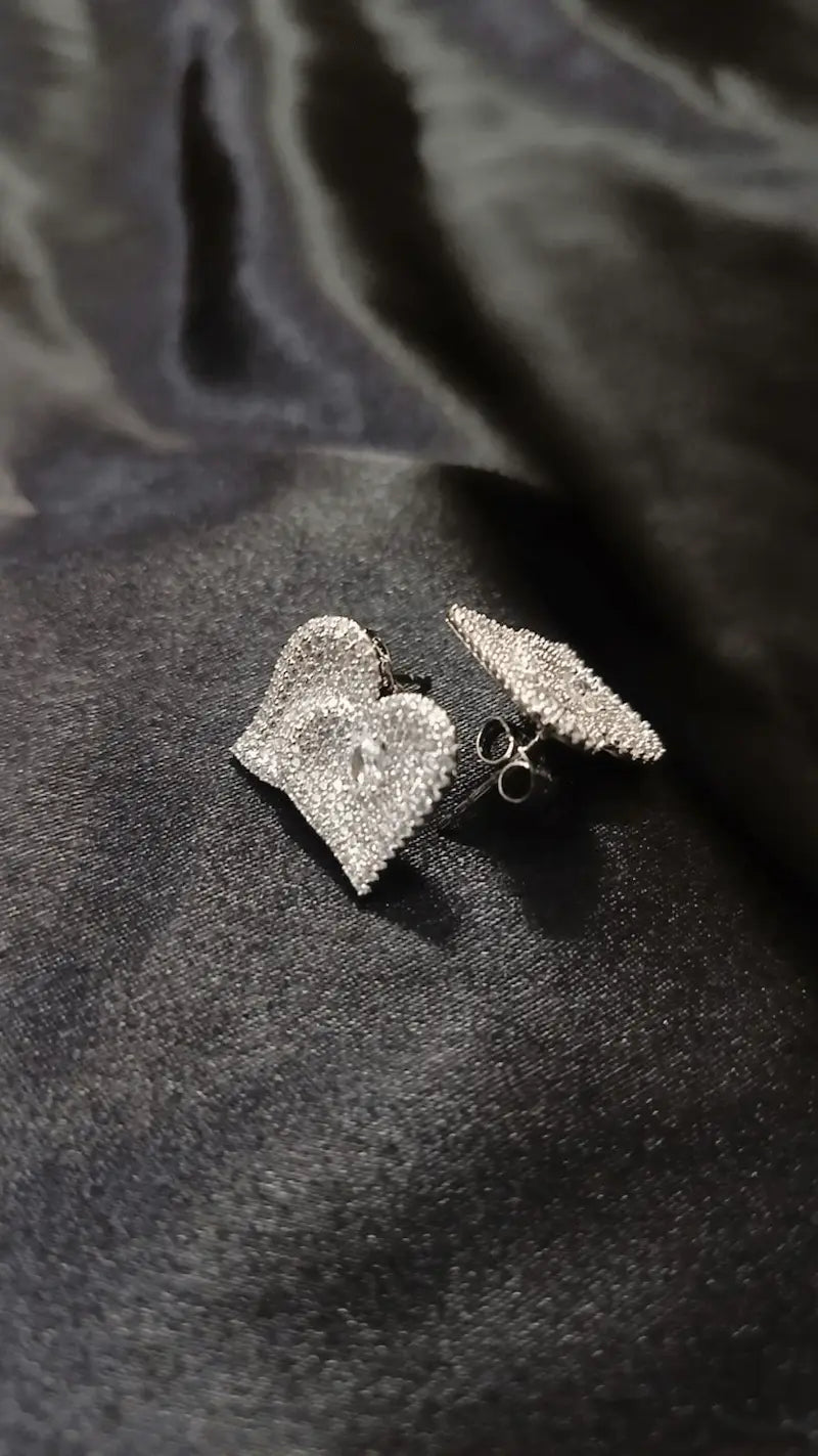 Earrings E-04
