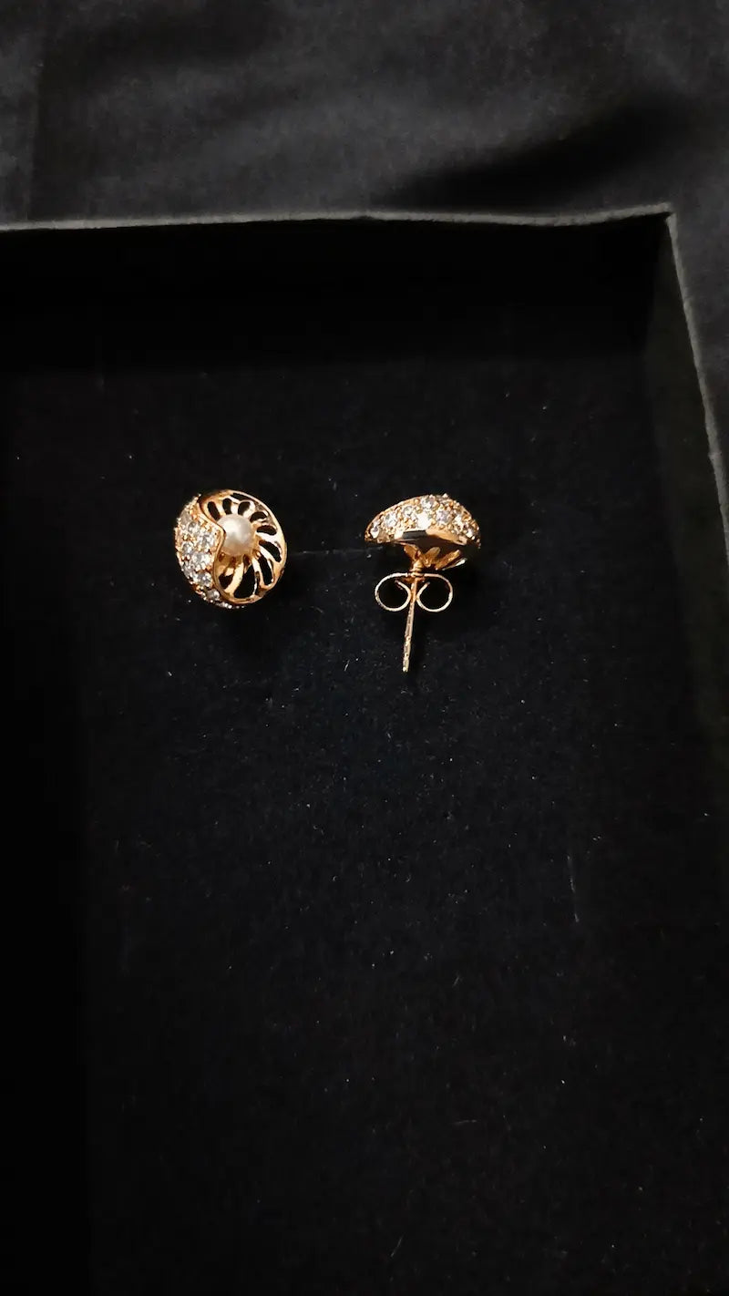 Earrings E-06