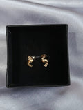 Earrings E-07