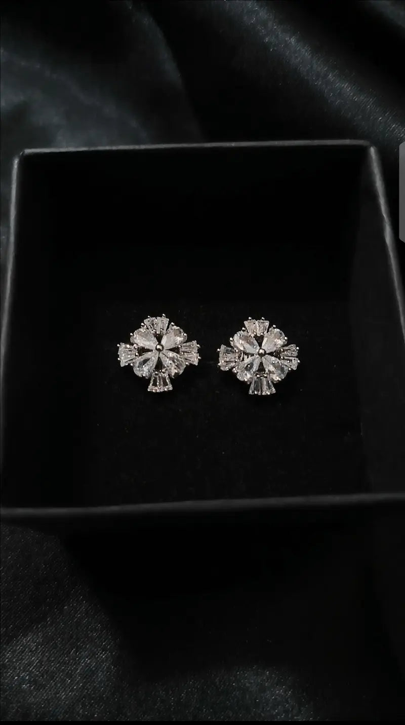 Earrings E-12