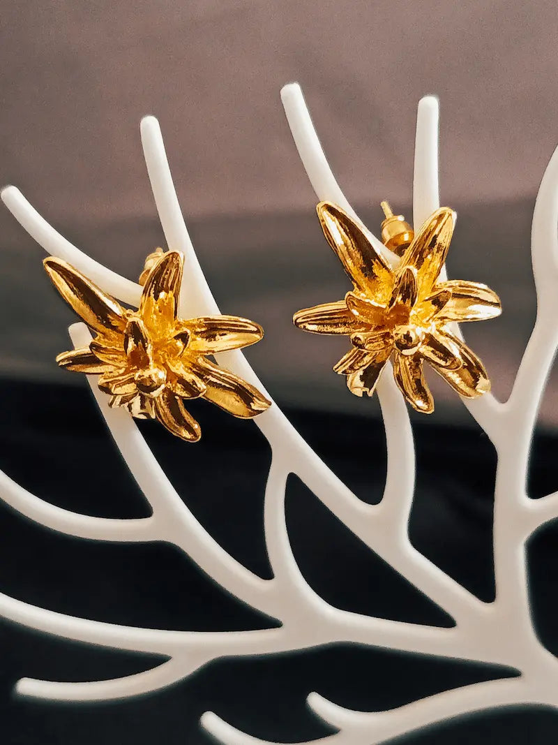 Earrings BE-01