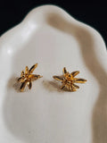 Earrings BE-01