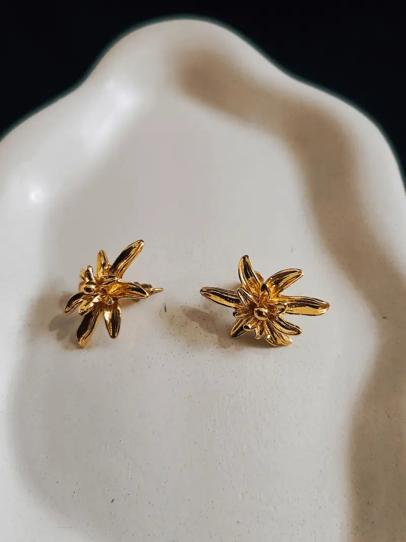Earrings BE-01