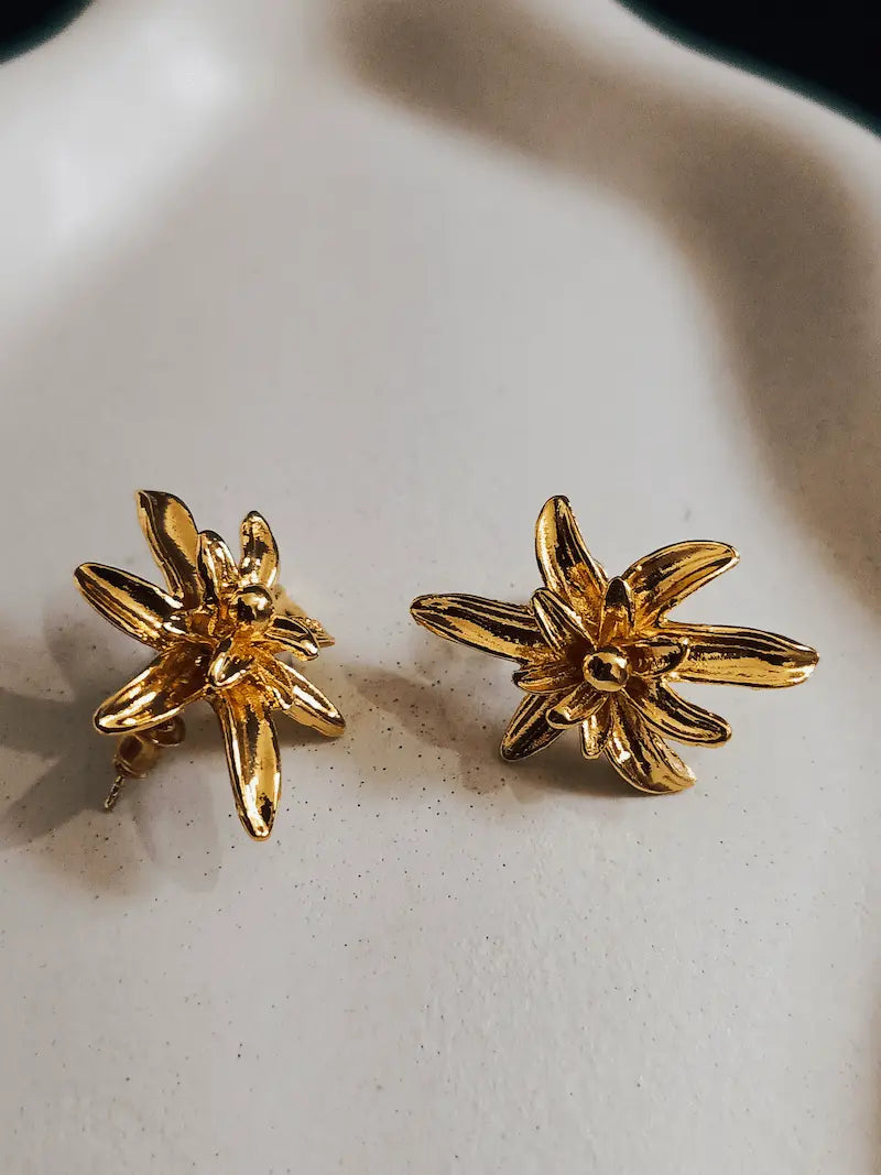 Earrings BE-01