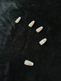 Cocoa Bow Nails (24 pieces)